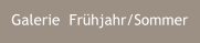 Galerie  Frhjahr/Sommer